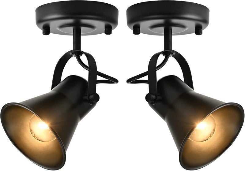 SEEBLEN Track Light Modern Ceiling Spot Lighting Indoor, Adjustable Wall Mount Accent Light,for Bedroom Living Room Hallway Kitchen Painting(2 Pack) - Image 1